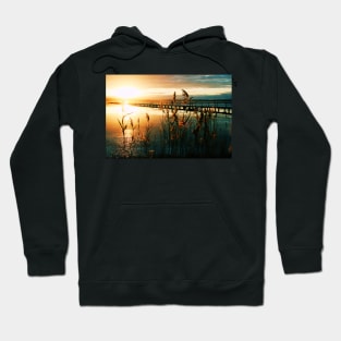 Wish you were here Hoodie